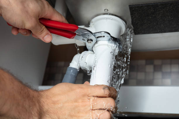 Best Professional water damage repair  in Lyndhurst, VA