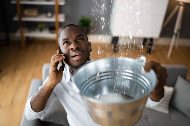 Best Ceiling water damage repair  in Lyndhurst, VA
