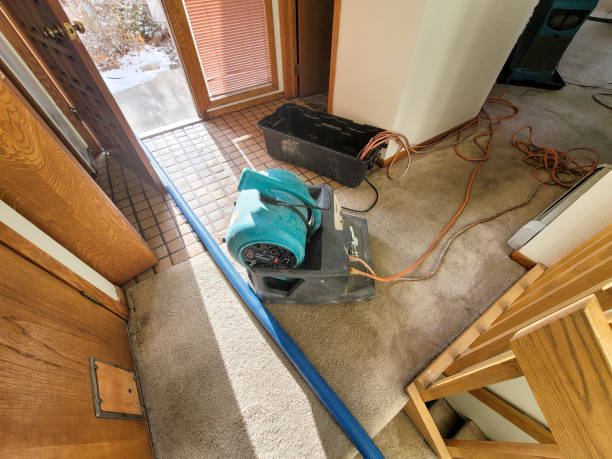 Reliable Lyndhurst, VA Water damage restoration Solutions
