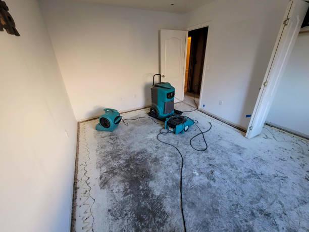 Best Water damage restoration near me  in Lyndhurst, VA