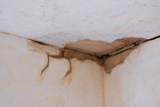  Lyndhurst, VA Water damage restoration Pros