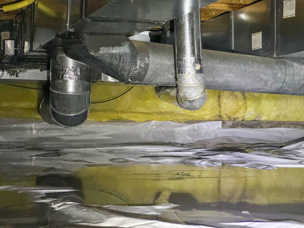 Best Flood restoration services  in Lyndhurst, VA