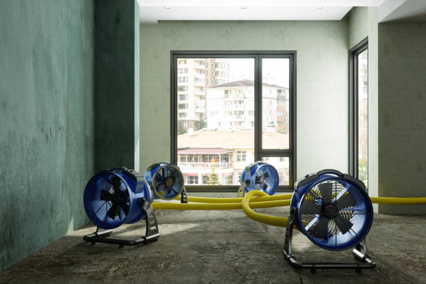 Best Water damage cleanup near me  in Lyndhurst, VA